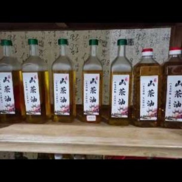 玻璃和塑料瓶，存储效果略有些不同！