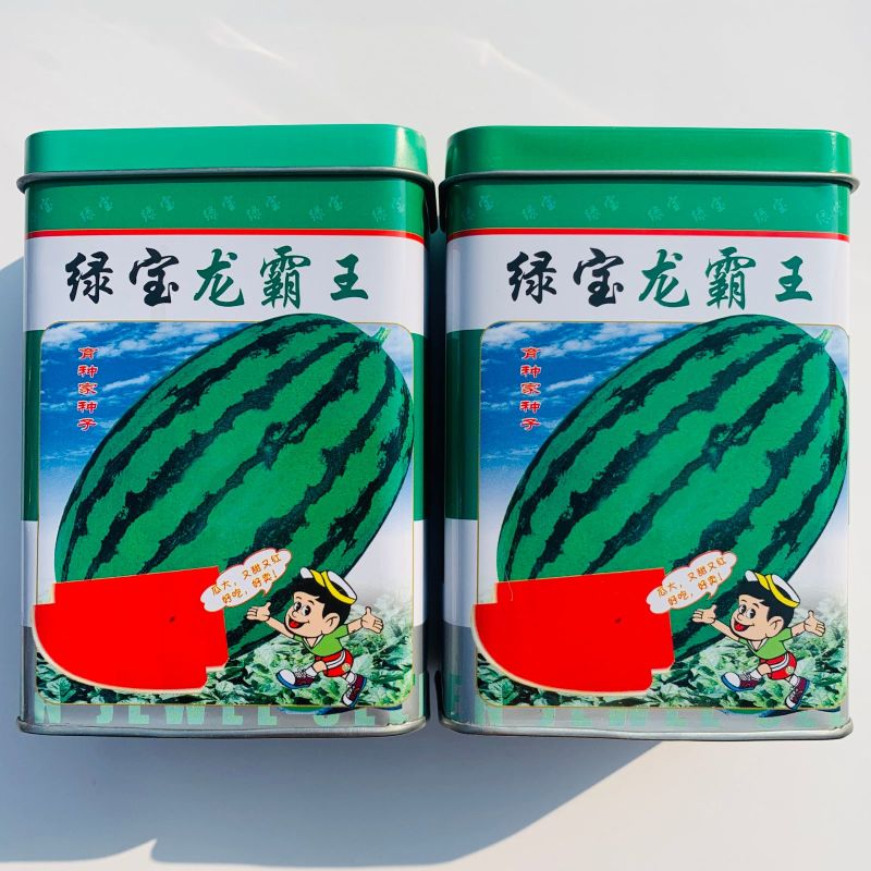 无子西瓜种籽特大红瓤黑皮红肉超黑皮无籽西瓜种子新鲜西瓜籽
