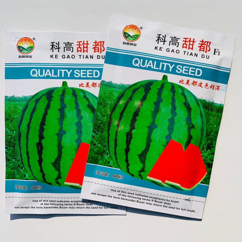 无子西瓜种籽特大红瓤黑皮红肉超黑皮无籽西瓜种子新鲜西瓜籽