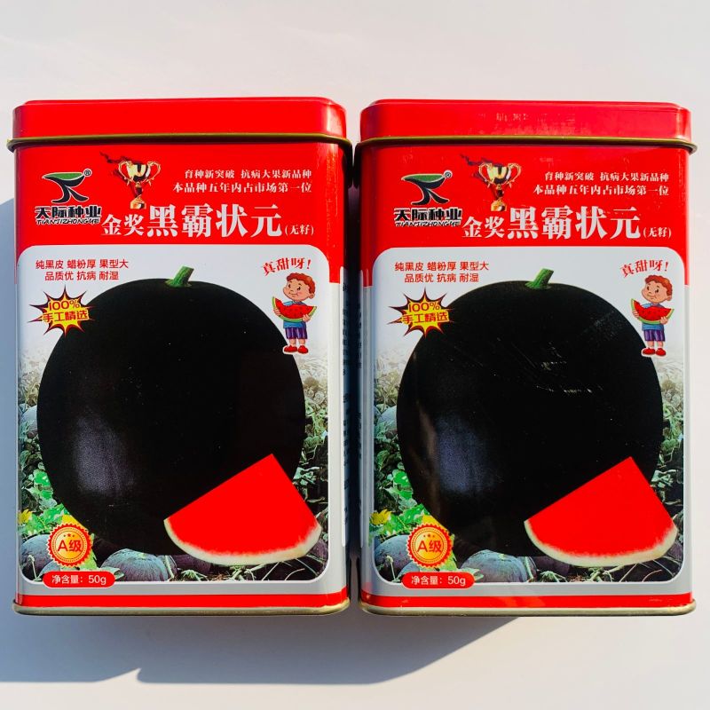 无子西瓜种籽特大红瓤黑皮红肉超黑皮无籽西瓜种子新鲜西瓜籽