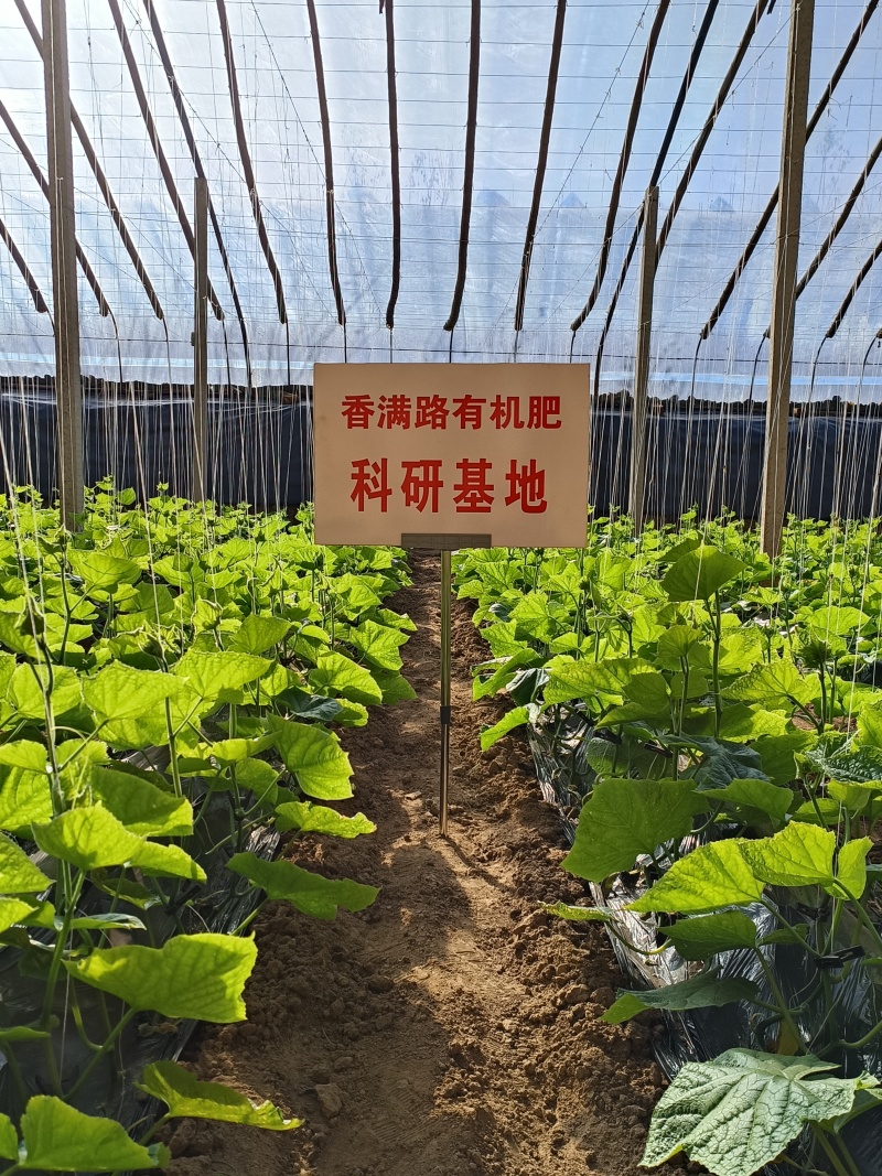 聊城干鸡粪,淄博稻壳鸡粪,济南发酵鸡粪,潍坊纯干鸡粪肥田