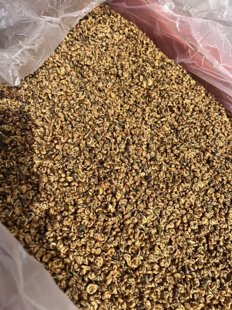 蜜香金螺螺型均匀又饱满，色泽靓，蜜香浓郁香甜，