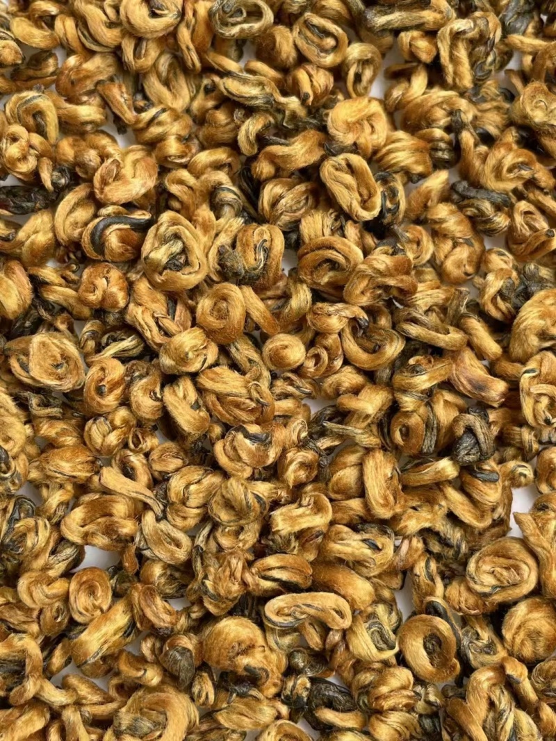 蜜香金螺螺型均匀又饱满，色泽靓，蜜香浓郁香甜，
