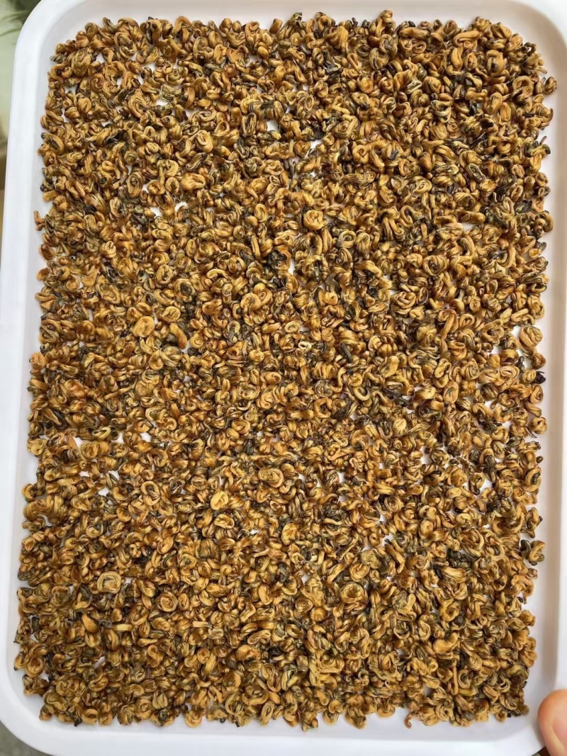 蜜香金螺螺型均匀又饱满，色泽靓，蜜香浓郁香甜，