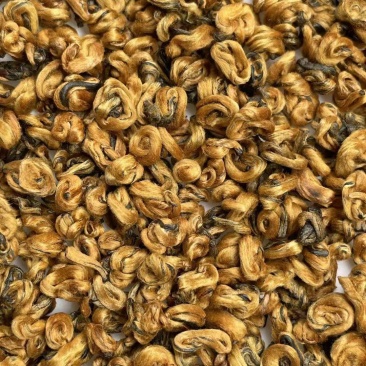 蜜香金螺螺型均匀又饱满，色泽靓，蜜香浓郁香甜，