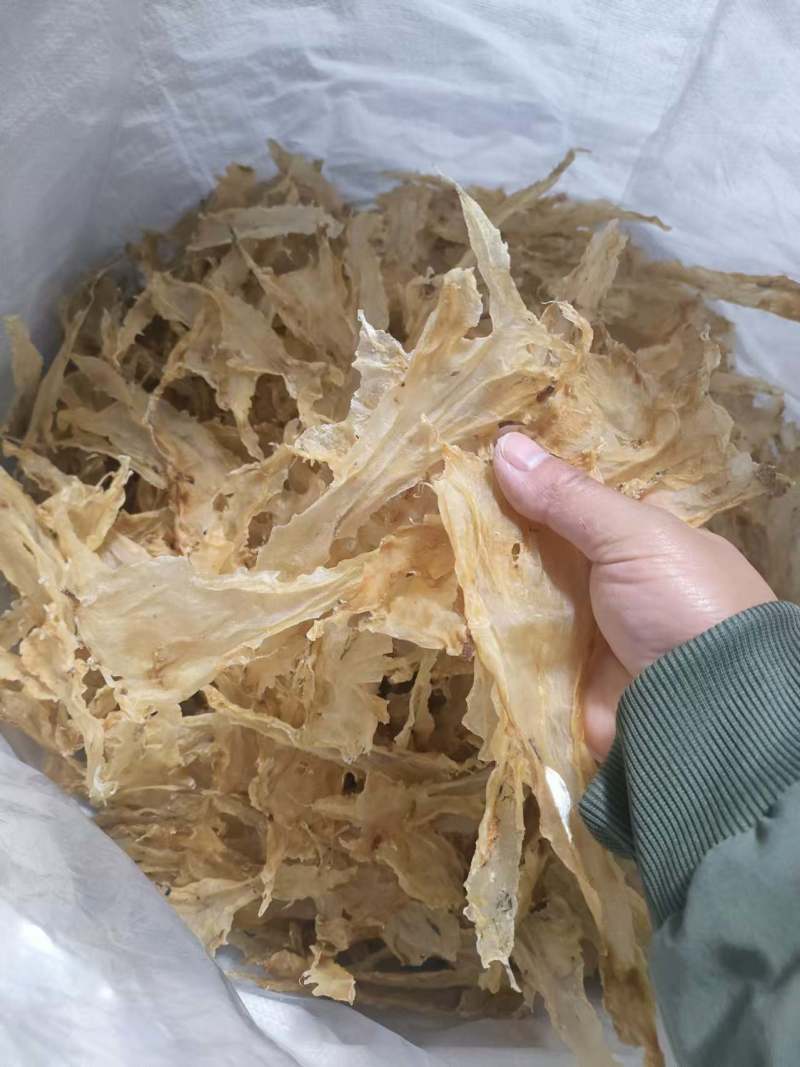 鳕鱼胶花胶太平洋鱼胶