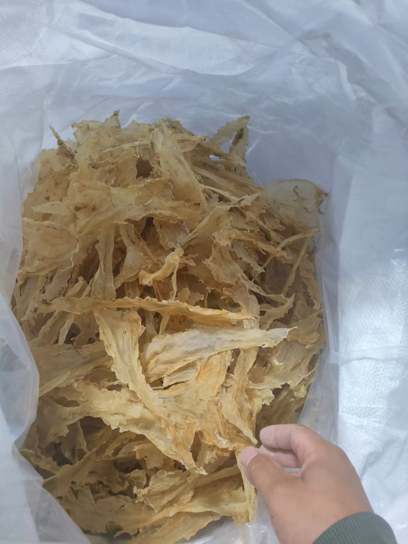 鳕鱼胶花胶太平洋鱼胶