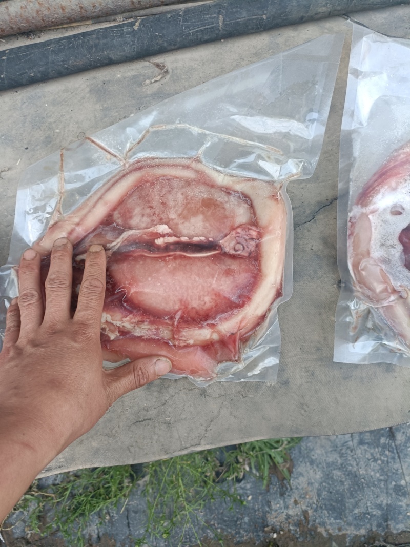 甘肃黄牛鞭，源头屠宰场，量大从优欢迎咨询下单
