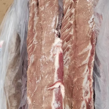 国产龙大多肉龙骨，新日期，颜色鲜亮，价格不高