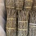 铁皮石斛捆条、全化渣粗条、自产自销