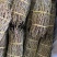 铁皮石斛捆条、全化渣粗条、自产自销