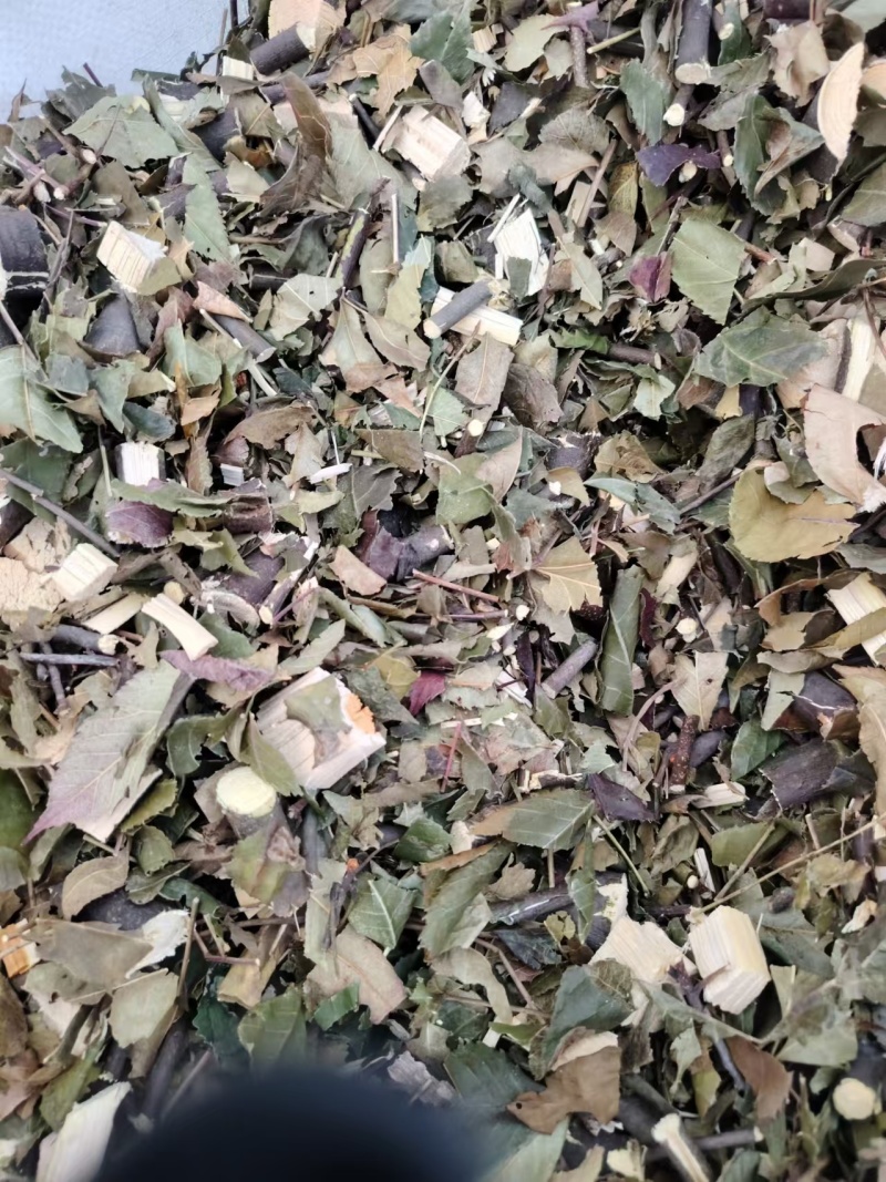 药用苦木，苦木，订单式种植回收