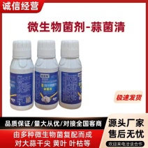 微生物菌剂蒜菌清专门防治大蒜干尖黄叶