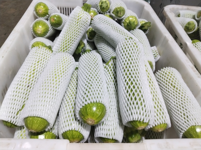 精品小瓜