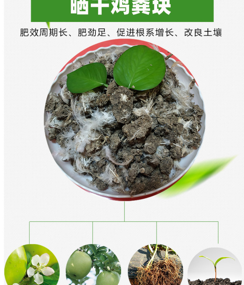 干鸡粪批发晒干鸡粪有机肥水果蔬菜用肥可视频看货