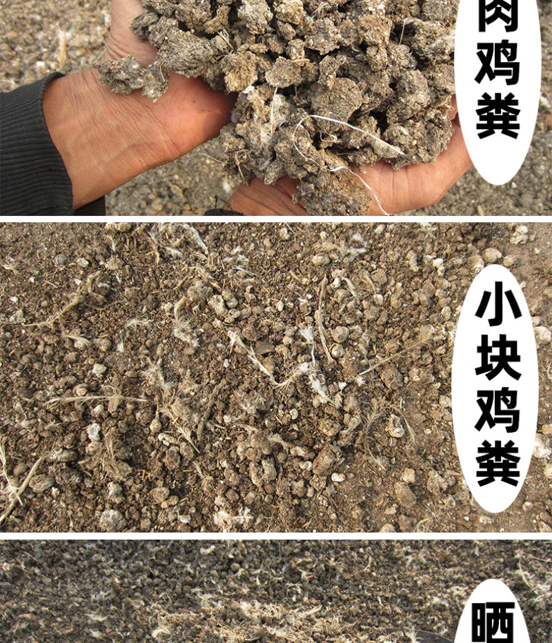 干鸡粪批发晒干鸡粪有机肥水果蔬菜用肥可视频看货