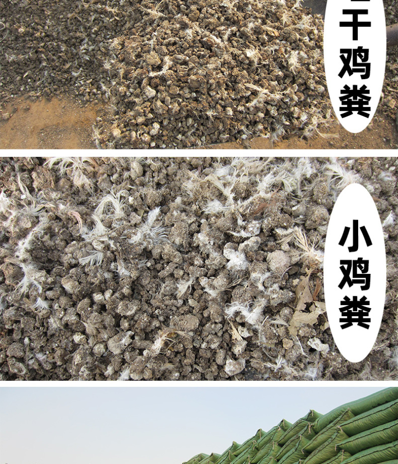 干鸡粪批发晒干鸡粪有机肥水果蔬菜用肥可视频看货