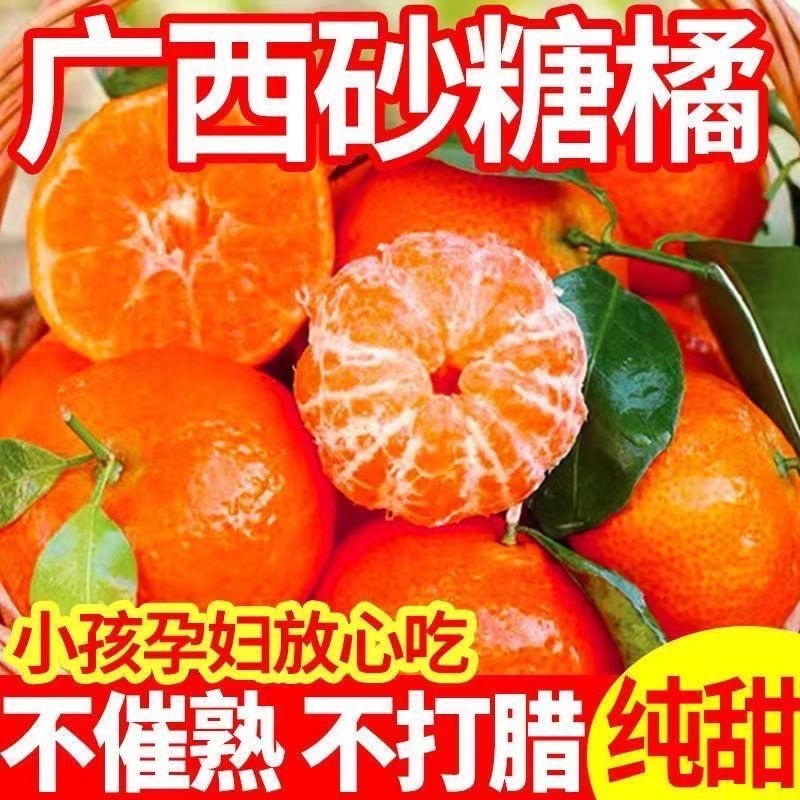广西砂糖橘、百亩果园，货源充足，支持一件代发批发