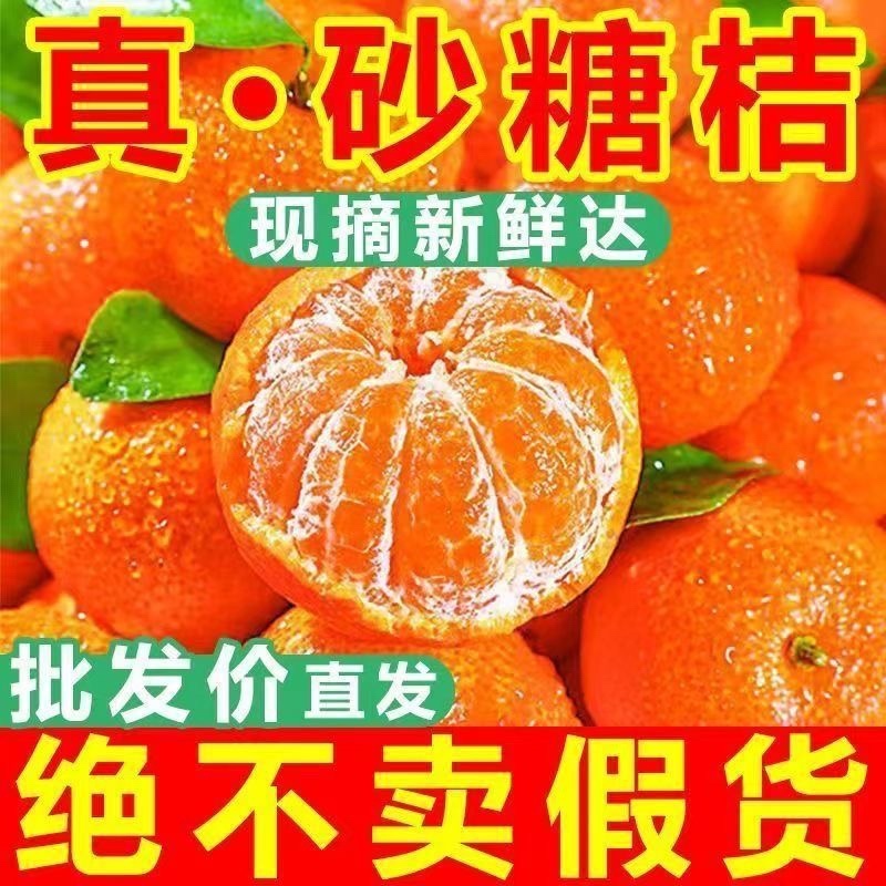 广西砂糖橘、百亩果园，货源充足，支持一件代发批发