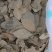 香叶精品香叶批发香叶色青味浓量大从优质量保证