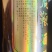 一斤装鹿鞭酒，一箱10瓶，一箱起售。活动价8.8一瓶