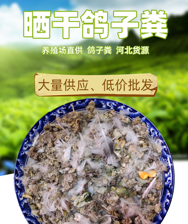 晒干鸽子粪有机肥料优质鸽子粪长期供应量大优惠