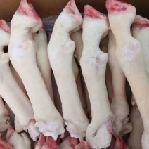 育肥羔羊蹄，大，中，小