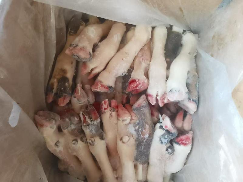 育肥羔羊蹄，大，中，小