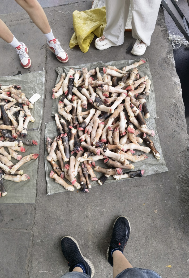 育肥羔羊蹄，大，中，小