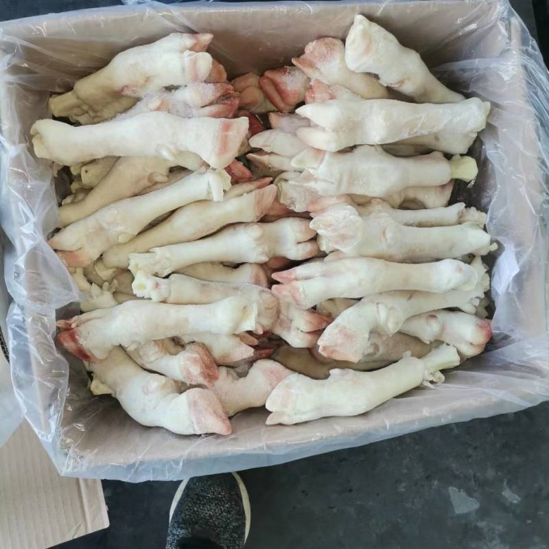 育肥羔羊蹄，大，中，小