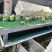 河南西兰花大量上市中，耐寒西兰花原产地，小米粒