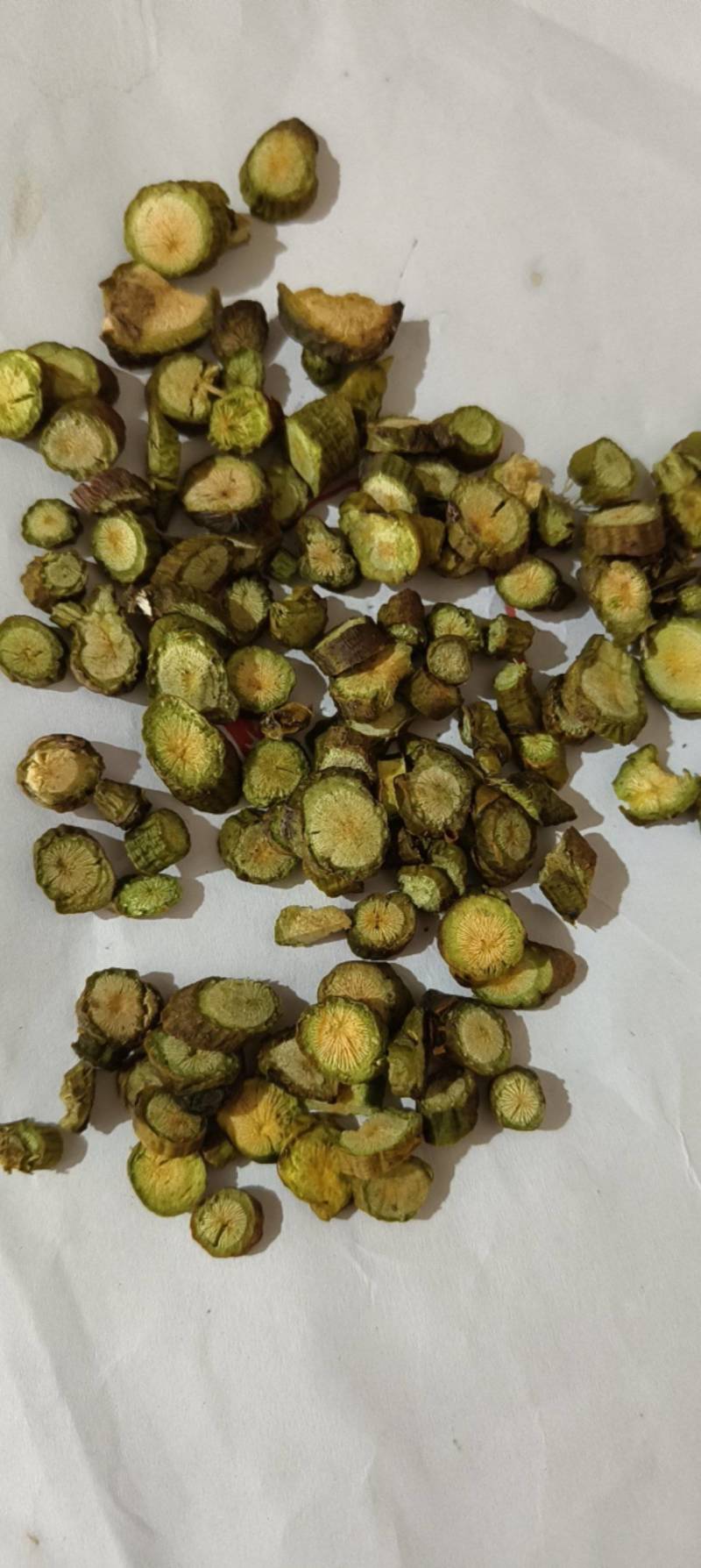 槲寄生寄生小选装货祥泰药材栈中药材批发零售实物拍摄