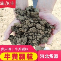 【厂家热销】晒干牛粪农家肥有机肥料富含氮磷钾肥料
