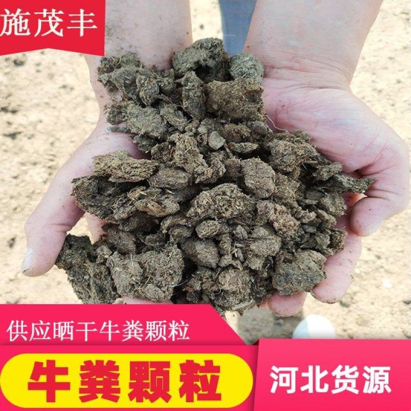 【厂家热销】晒干牛粪农家肥有机肥料富含氮磷钾肥料