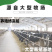 【厂家热销】晒干牛粪农家肥有机肥料富含氮磷钾肥料