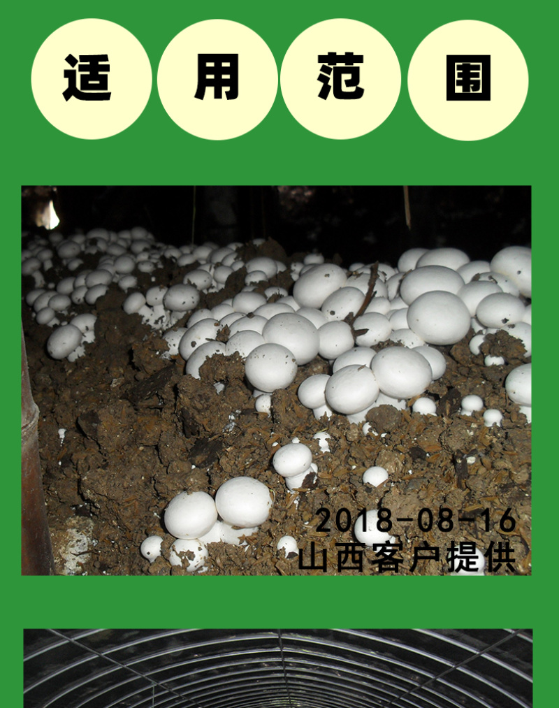 【厂家热销】晒干牛粪农家肥有机肥料富含氮磷钾肥料