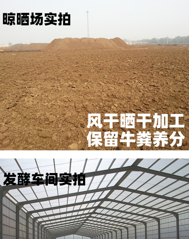 【厂家热销】晒干牛粪农家肥有机肥料富含氮磷钾肥料