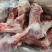 多肉前腿骨，6块一斤，带肉率高，新货，颜色鲜亮