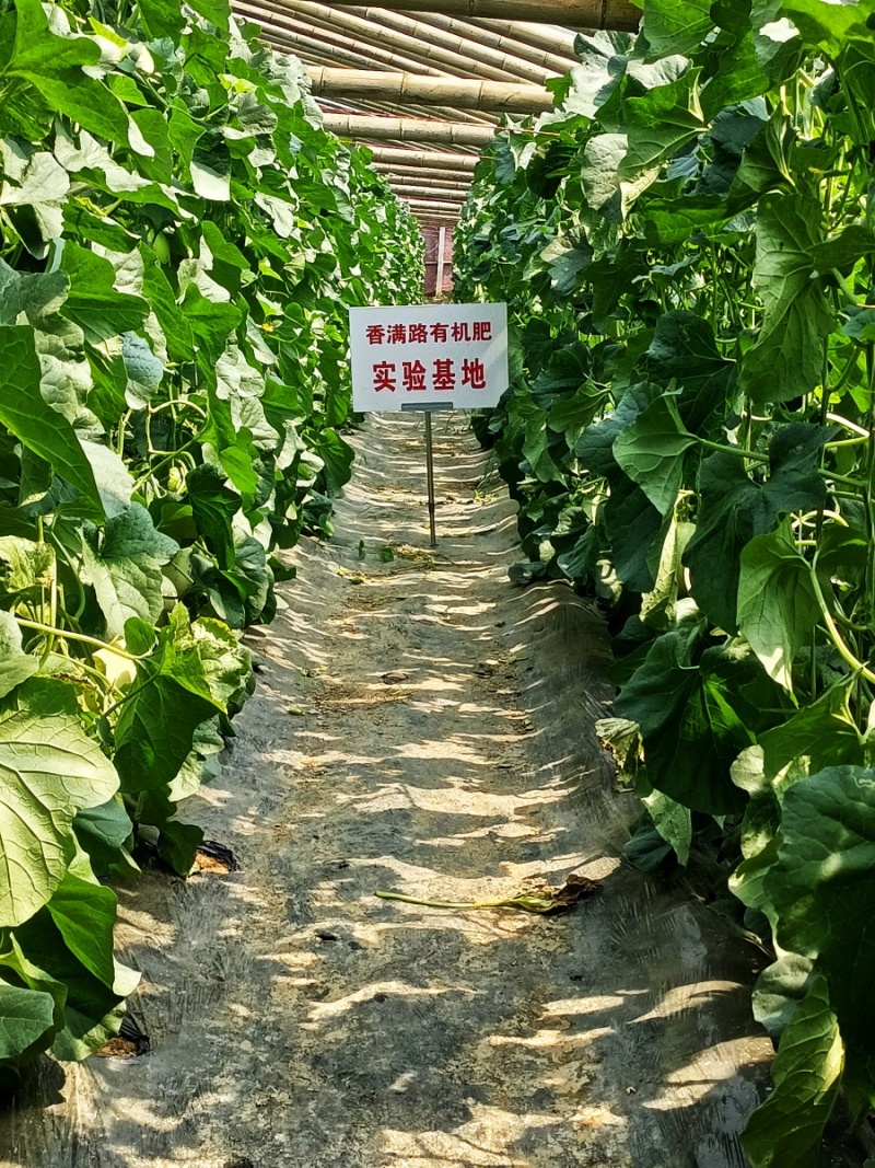 济南稻壳鸡粪,聊城发酵稻壳鸡粪,淄博稻壳粪,潍坊稻壳鸡粪