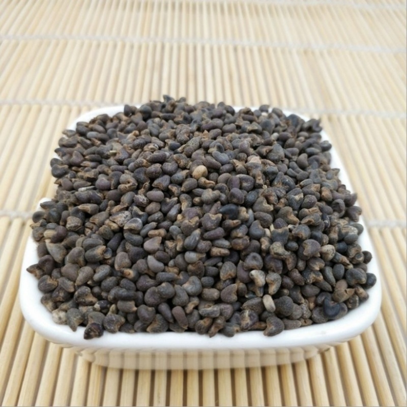 中药材冬葵子统货选货量大从优支持视频看货批发零售