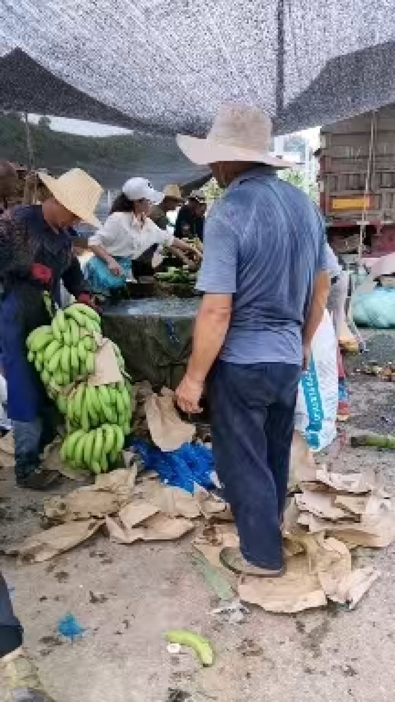 香蕉