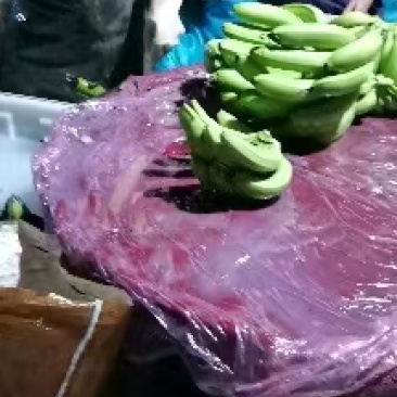 香蕉