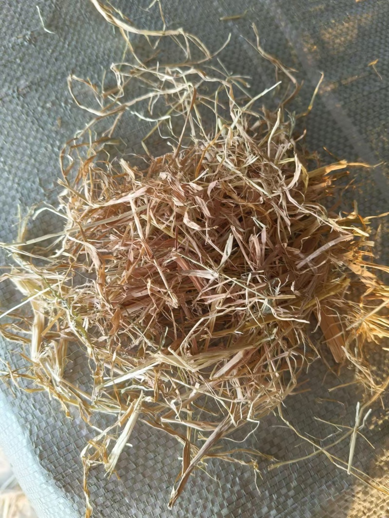 湖北稻草铡断无土无霉精品，过风选，小套袋，对接全国