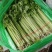 精品香芹芹菜对接全国量大从优基地批发质量保证诚信经营