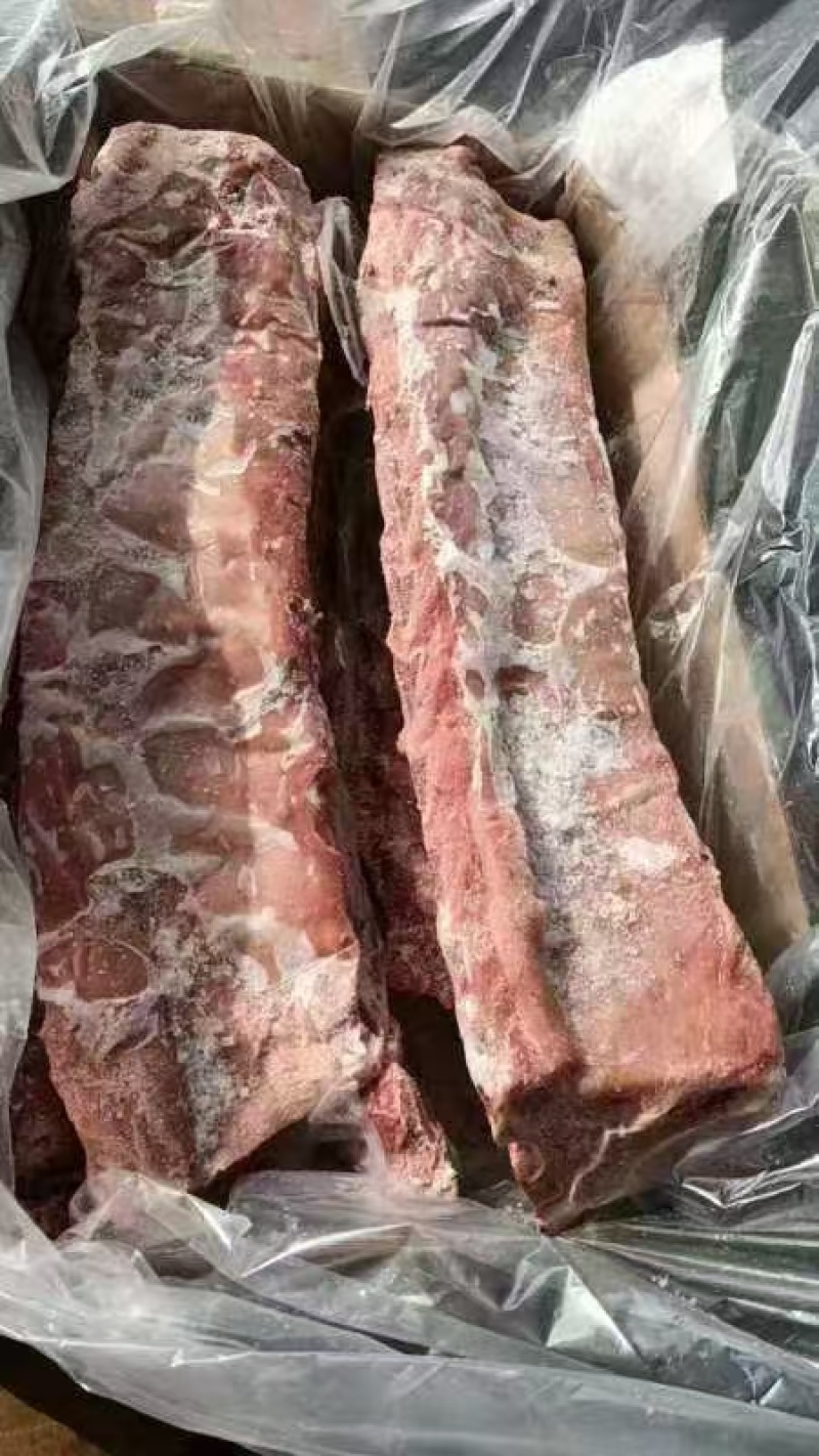 母猪双边龙骨带肉多今年的货，自己家的货