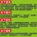 （现货）26年雪莲果主产区合作社一件代发社区团购供货