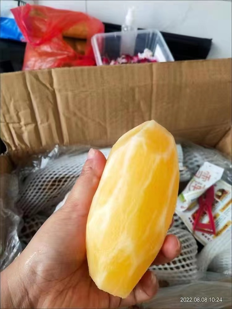 （现货）26年雪莲果主产区合作社一件代发社区团购供货