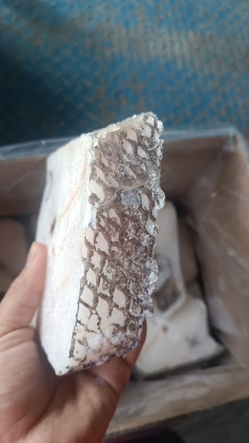 水鳕鱼