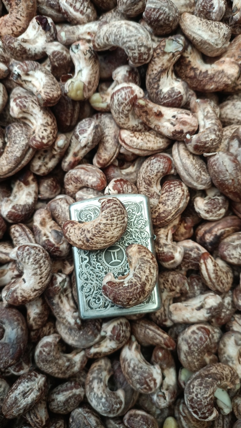 特大越南紫皮生腰果