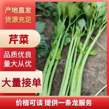 安徽砀山精品西芹。货源充足保质保量。直供商超各大市场